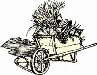 biodistributors logo